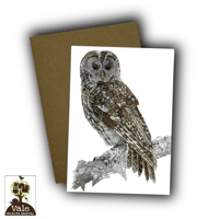 Image 2 of Tawny Owl Card