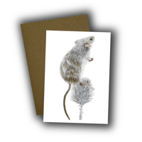 Image 1 of Harvest Mouse Card