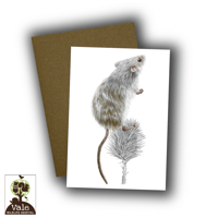 Image 2 of Harvest Mouse Card