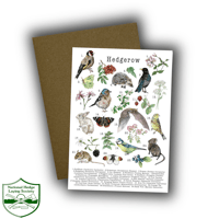 Image 2 of Hedgerow Card