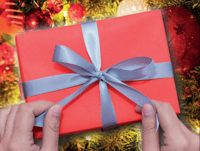 Mystery Book - Christmas gift (signed)