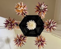 Image 2 of Crunchy Leaves Pajak