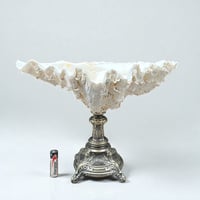 Image 1 of Gros coquillage bénitier Tridacne sur pied en métal argenté fin XIXe avec griffons - Vide-poche 