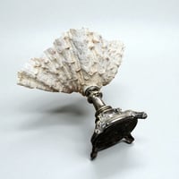 Image 10 of Gros coquillage bénitier Tridacne sur pied en métal argenté fin XIXe avec griffons - Vide-poche 