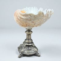 Image 6 of Gros coquillage bénitier Tridacne sur pied en métal argenté fin XIXe avec griffons - Vide-poche 