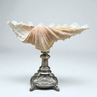Image 7 of Gros coquillage bénitier Tridacne sur pied en métal argenté fin XIXe avec griffons - Vide-poche 