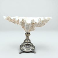 Image 5 of Gros coquillage bénitier Tridacne sur pied en métal argenté fin XIXe avec griffons - Vide-poche 