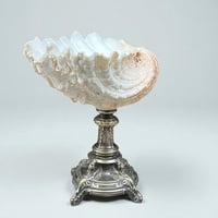 Image 8 of Gros coquillage bénitier Tridacne sur pied en métal argenté fin XIXe avec griffons - Vide-poche 
