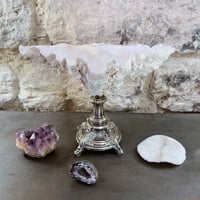 Image 4 of Gros coquillage bénitier Tridacne sur pied en métal argenté fin XIXe avec griffons - Vide-poche 