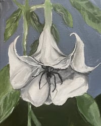 Image 1 of "Creeping Angel's Trumpet" 8"x10" Painting 