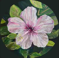 Image 1 of "Hibiscus Study" 12"x12" Painting 
