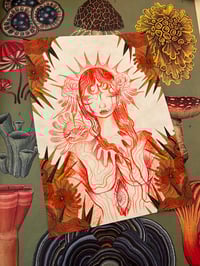 Affordable mini 1 - Evie