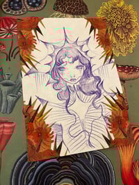 Affordable mini 1 - Iva