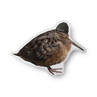 Rest in Peents 22 x 22 Pillow