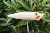 Image 2 of SPEEDBAITS Custom Airbrushed Topwater Popper 572
