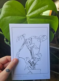 Image 2 of Monstera A5 Print