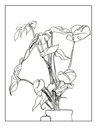 Image 3 of Monstera A5 Print