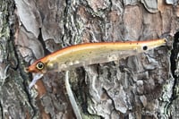 Image 4 of  Custom Airbrushed Jerkbait TA 110 1208