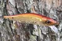 Image 5 of  Custom Airbrushed Jerkbait TA 110 1208