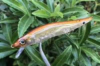 Image 8 of  Custom Airbrushed Jerkbait TA 110 1208