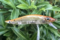 Image 9 of  Custom Airbrushed Jerkbait TA 110 1208