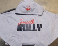 SB Hoodie Gray / Red