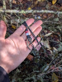 Image 5 of Vulture Claw