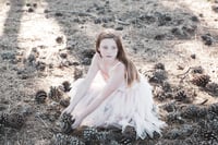 Winter Portraits 2026