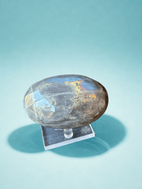 Extra Large Labradorite Palm