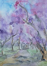 Image 1 of Jacaranda Lane - 01