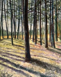 Long Shadows at Glacial Hills Park