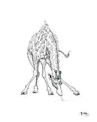 Inktober 2025 - "Drink" Day 13