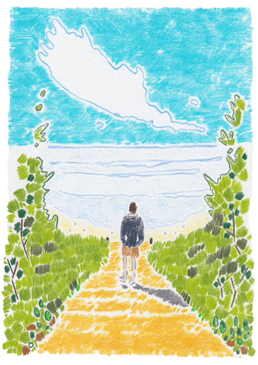 Image of Morning Surf Check