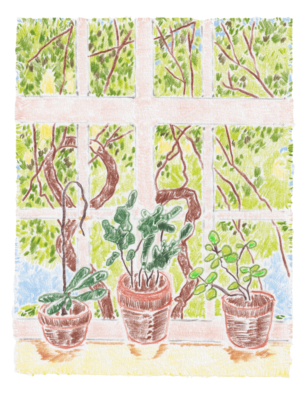 Image of From my Window