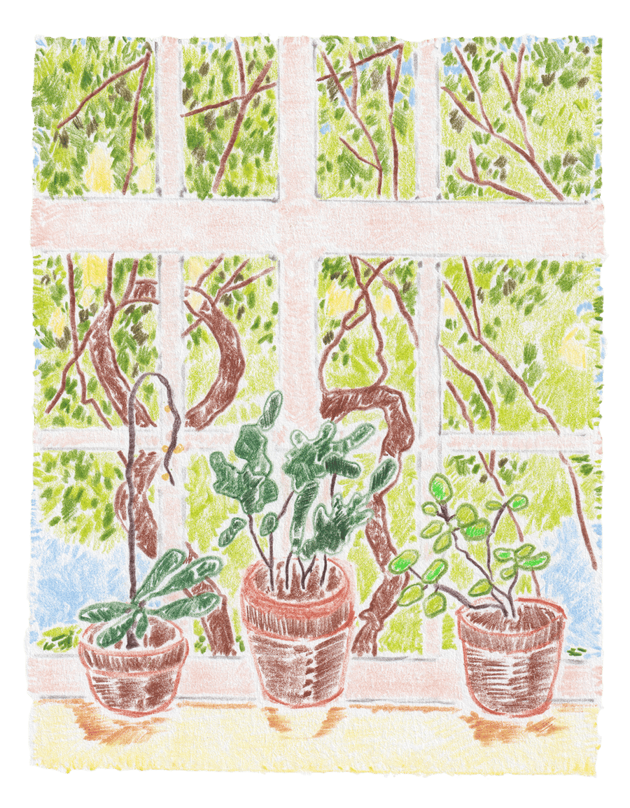 Image of From my Window