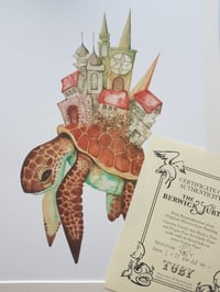Image 5 of The Berwick Turtle