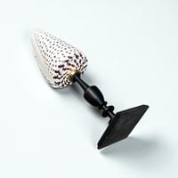 Image 7 of Gros coquillage Conus Litteratus sur socle en bois Napoléon III - Objet de curiosités 