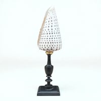 Image 3 of Gros coquillage Conus Litteratus sur socle en bois Napoléon III - Objet de curiosités 