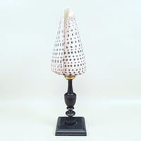 Image 1 of Gros coquillage Conus Litteratus sur socle en bois Napoléon III - Objet de curiosités 