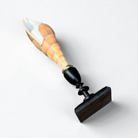 Image 9 of Coquillage escargot Tibia Curta sur socle en bois Napoléon III - Objet de curiosités 