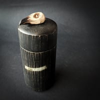 Image 1 of Raven Storage Canister