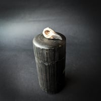Image 2 of Raven Storage Canister