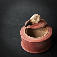 Image 2 of Small Raven locking lid box