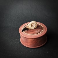 Image 3 of Small Raven locking lid box