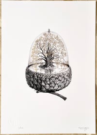 Image 2 of Isle Of Lost Souls