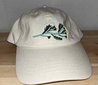 Caps med brodert tunbalderbrå