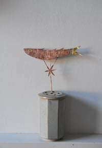 Image 4 of Medieval fish 1