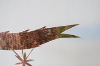 Image 4 of Medieval fish 2