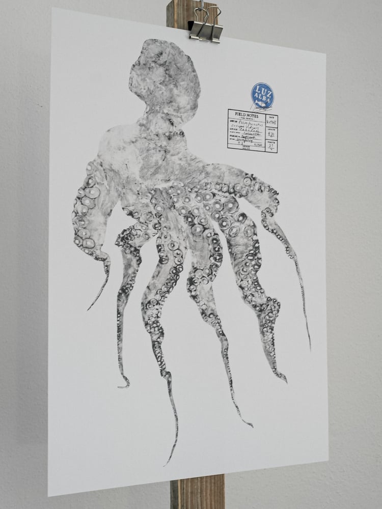 Image of Paper Fish *A3 | E.25 