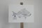 Image of Paper Fish *A3 | E.25 